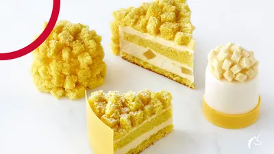 La Torta Mimosa: un dolce che accende la luce su tutte le donne