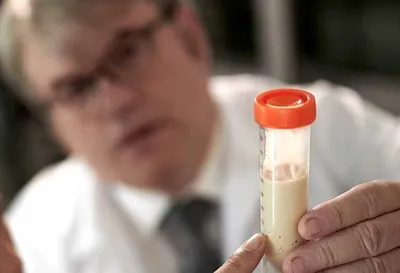 La connessione tra arte del pane & scienza della salute intestinale