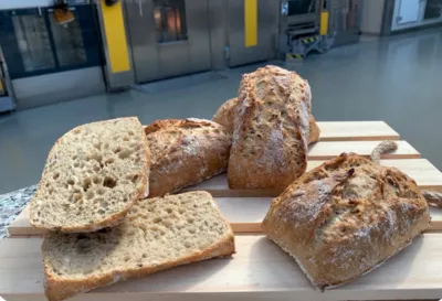 Ciabattine multicereali 