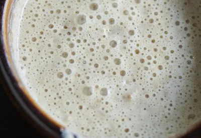 Lievito madre professionale