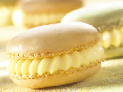 Mix per crema pasticcera Cpt Stabil