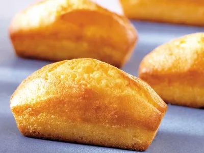 Mix per pasticceria Tegral Satin Cake Yogurt