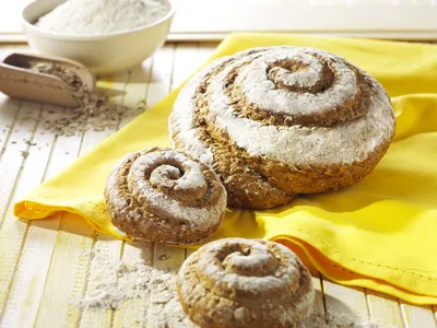 Tegral Puravita Rusticano