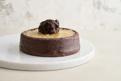 Mix per pasticceria Tegral Satin Creme Cake Cacao