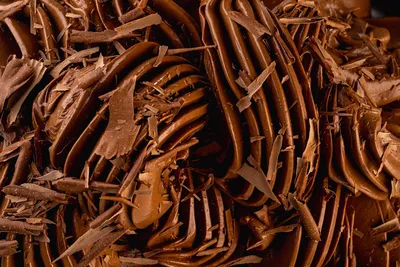 Base Gelato Cioccolato Express