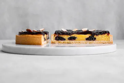 Farcitura Topfil Mirtillo Selvatico 60%