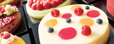 Base pronta Deli Cheesecake