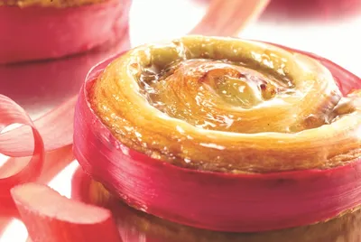 Gelatina Harmony Ready Briant