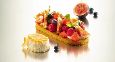 Gelatina Harmony Classic Briant