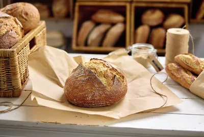 Lievito madre Sapore Madre